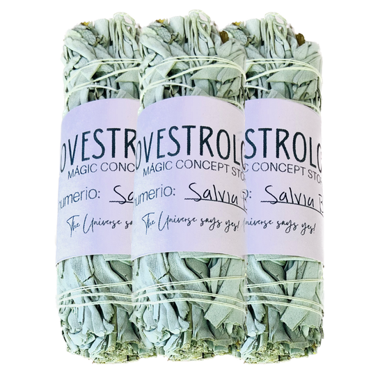 3 PACK SALVIA BLANCA