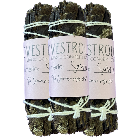 3 PACK SALVIA NEGRA